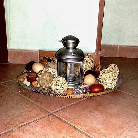 Guest house Palomba
