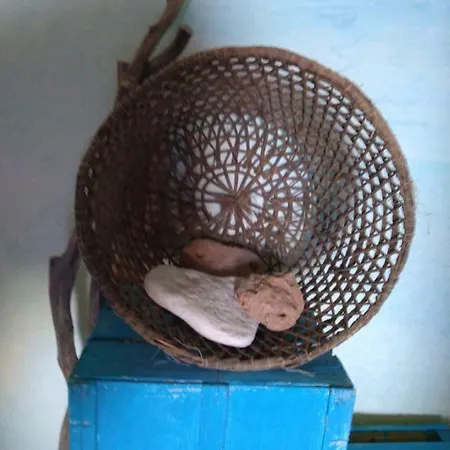 Palomba 알게로